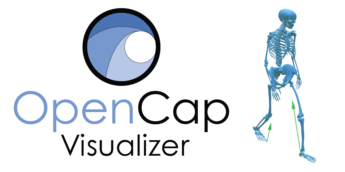 OpenCap Visualizer - Interactive Biomechanics Visualization & Automated ...